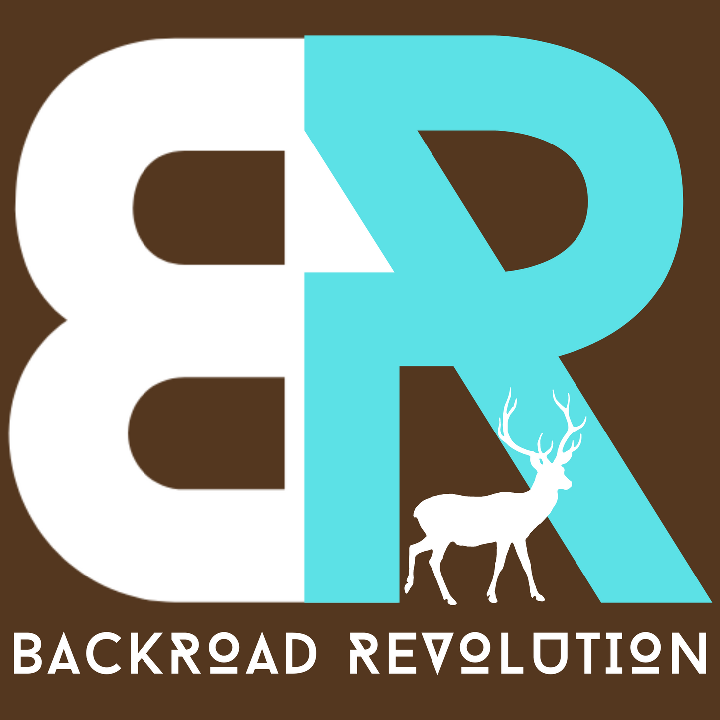 Backroad Revolution Logo T-Shirt for Her - Blue/Brown